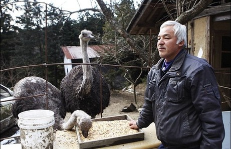 日本農(nóng)民為照顧動物堅守核輻射區(qū) 生命堪危 