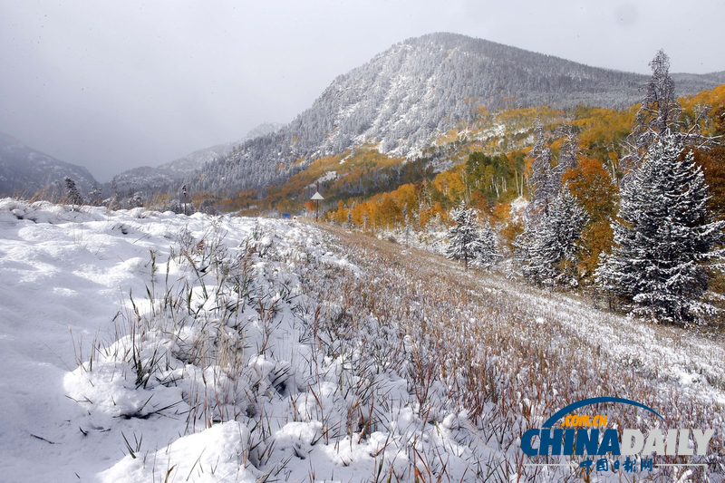 美中西部遭遇罕見暴風(fēng)雪 積雪近尺林肯像被覆