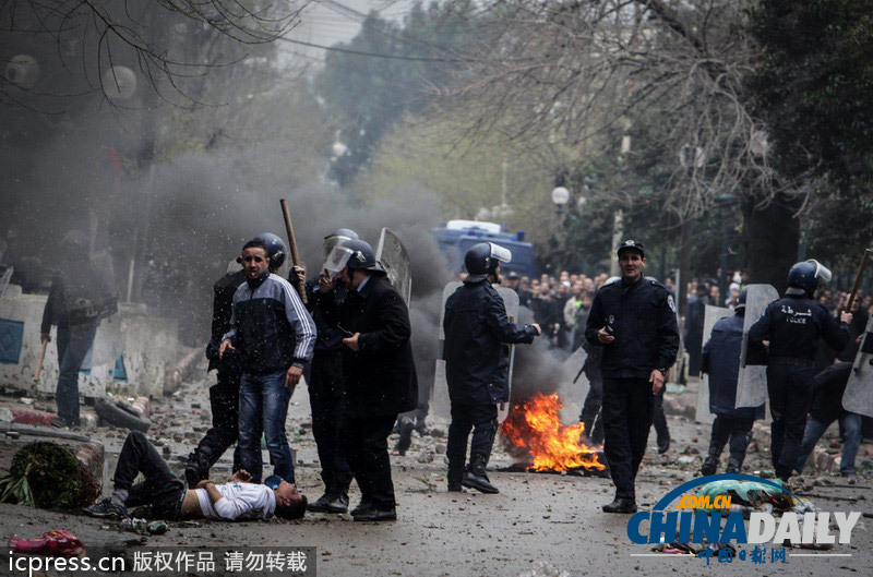 為爭住房惹禍端 阿爾及利亞民眾與警察發(fā)生激烈沖突