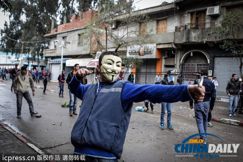 為爭住房惹禍端 阿爾及利亞民眾與警察發(fā)生激烈沖突