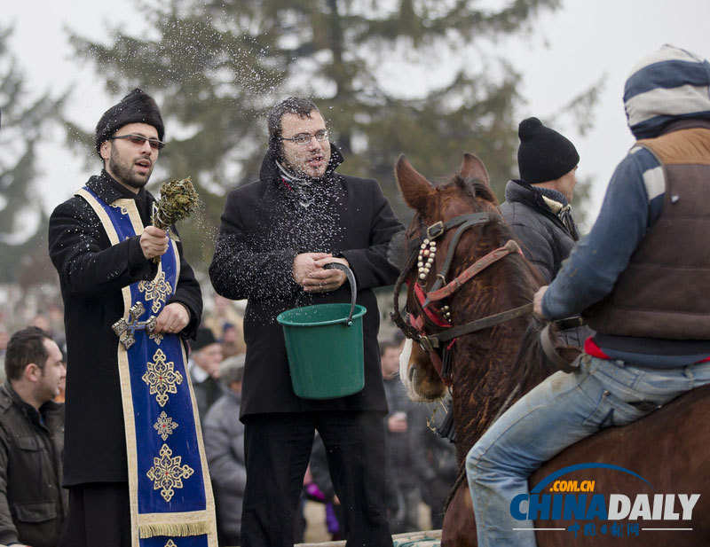 羅馬尼亞人縱馬馳騁慶祝主顯節(jié) 矮腳小馬萌翻鏡頭