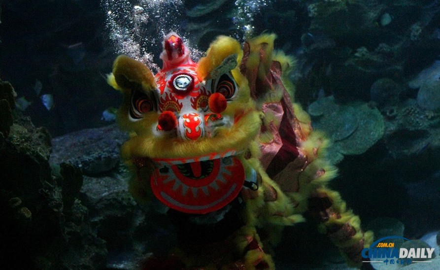 水下舞獅財(cái)神拜年 馬來西亞一水族館喜迎中國年