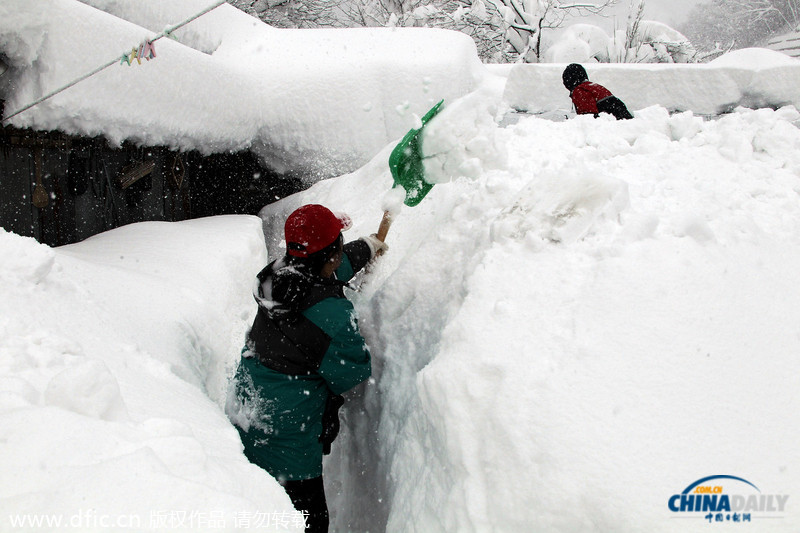 韓國暴雪持續(xù)5日 汽車被埋紅綠燈遭積雪覆蓋