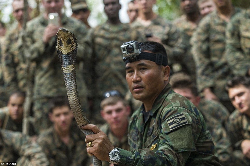 美國海軍陸戰(zhàn)隊生存訓(xùn)練：喝蛇血、吃蝎子