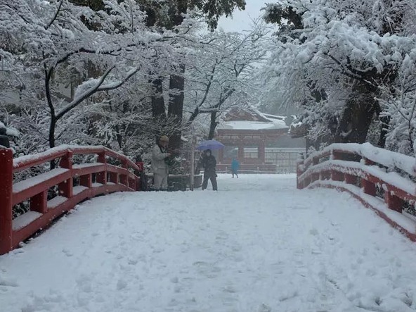 日本遭嚴(yán)重暴風(fēng)雪襲擊 19人死亡1600多人受傷