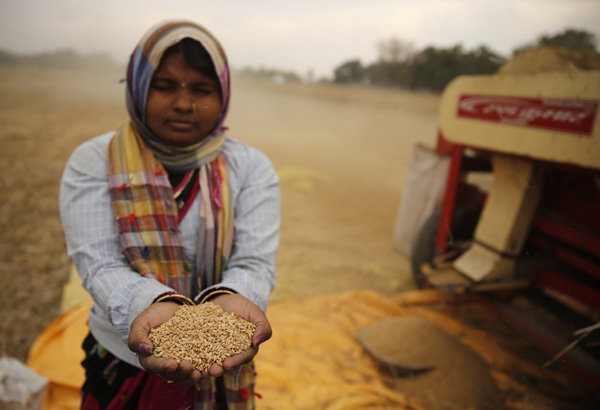 Farmers driven to suicide as rain, hail wreck crops