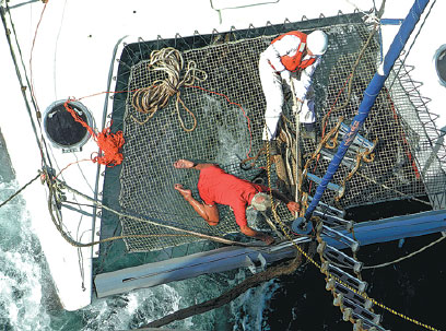 Chinese vessel rescues French sailor