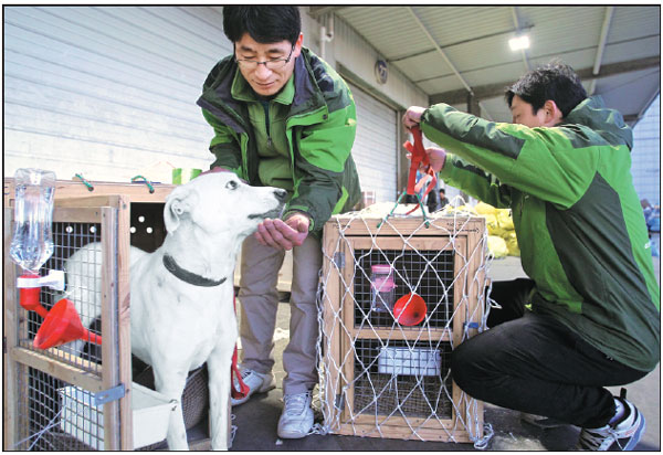 As Pets Become Like Family, Relocation Services Boom