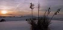 White sands national monument: a wonder of nature