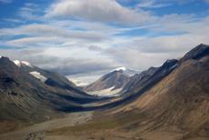 Mummified forest reveals clues about climate change