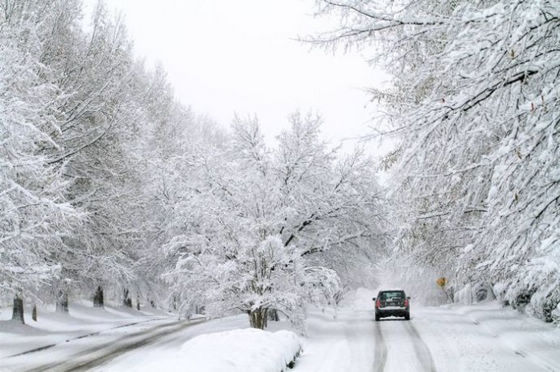 美國新婚男子雪地助人 橫遭車禍不幸遇難