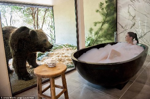 旅館？動(dòng)物園？這是澳大利亞加馬拉野生動(dòng)物旅館！