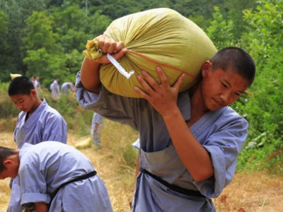 Harvest time for kung fu masters