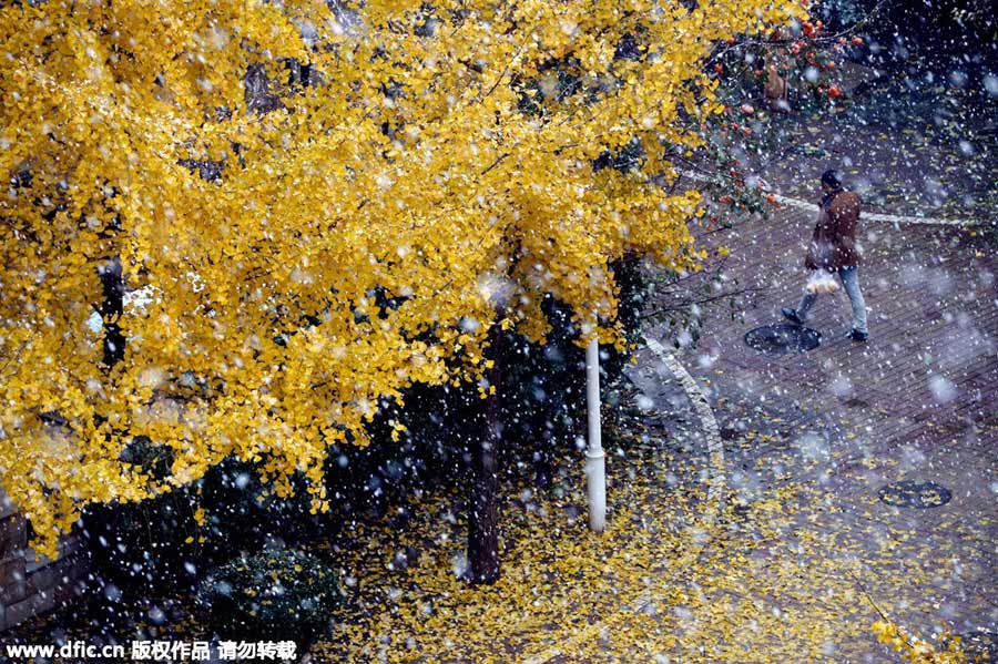 雪后居庸關(guān)長城美景（組圖）