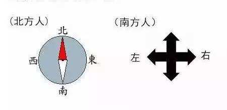 “南北差異”大討論：南方買(mǎi)菜買(mǎi)一頓，北方買(mǎi)菜買(mǎi)一噸？