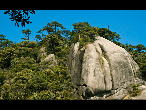 Mount Sanqingshan National Park