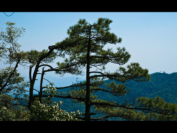 Mount Sanqingshan National Park