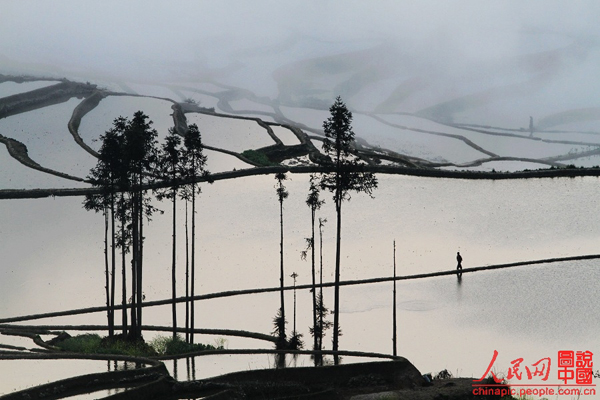 Breathtaking Yuanyang Terrace, Yunnan