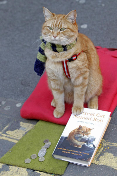 'A Street Cat Named Bob'