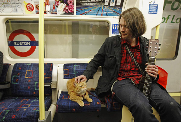 'A Street Cat Named Bob'