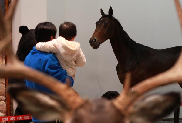 Chinese Animal Specimens Competition