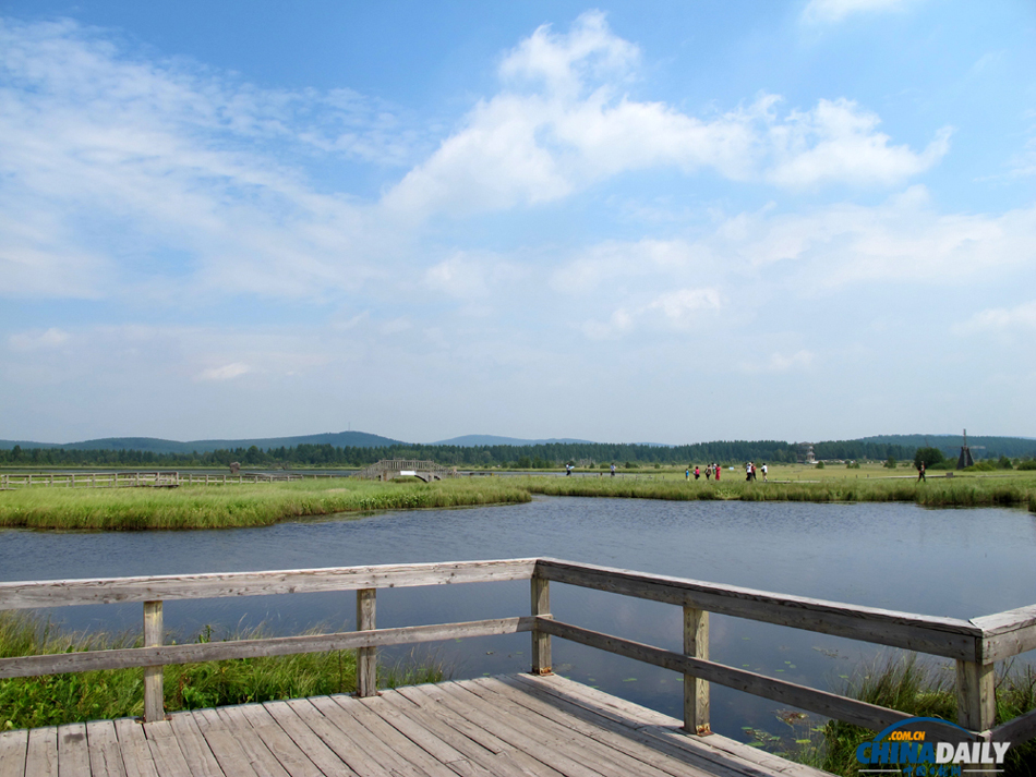 Picturesque view of Saihanba