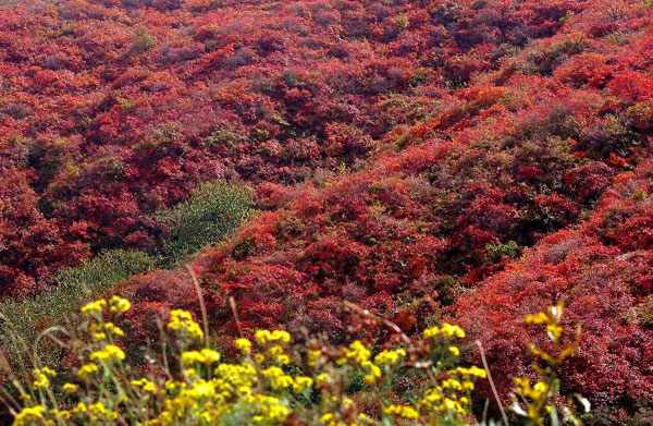 Autumn view on Changshou Mountain in China's Henan