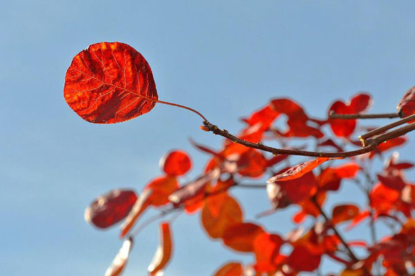 Autumn view on Changshou Mountain in China's Henan