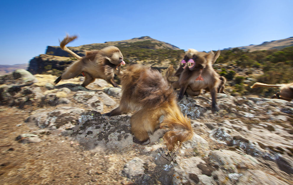 Selected photos from National Geographic Photo Contest