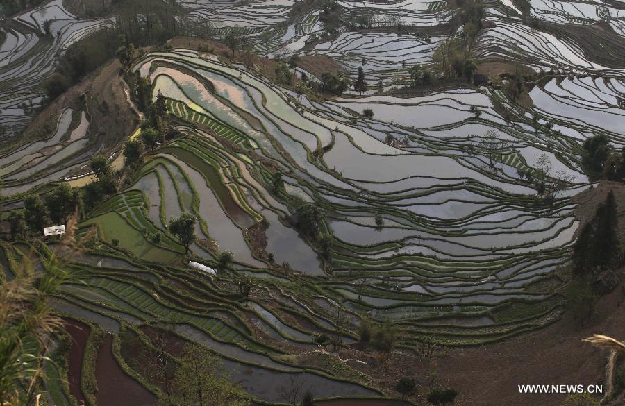 Stunning photos of Hani terrace