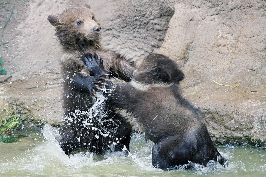 It's hot, take a shower!