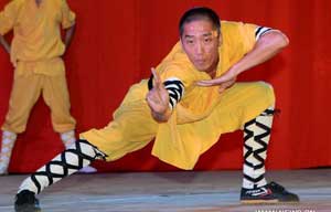 Martial arts festival held in NW China