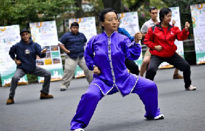 2013 Beijing Int'l Taiji Rouliqiu Festival