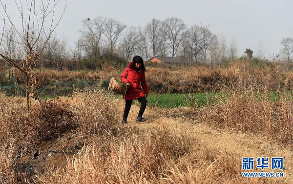 Farmer breathes life into poems