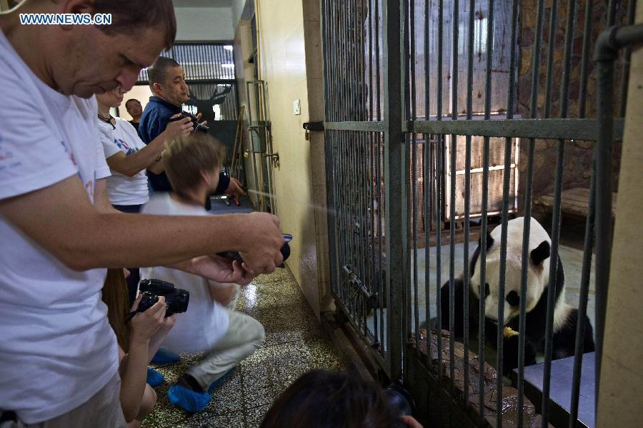 12 European panda fans travel to China's Sichuan