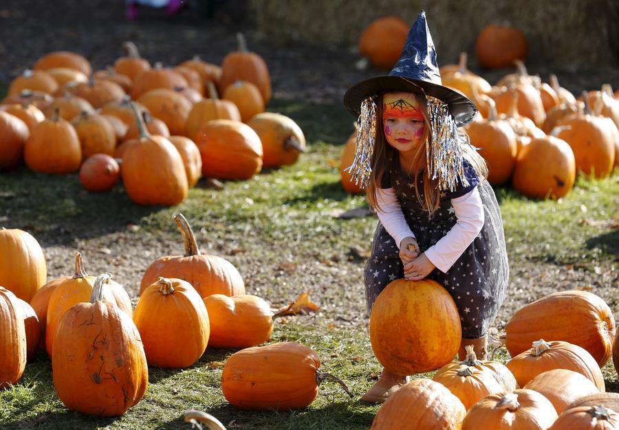 Playing in the pumpkin patch ahead of Halloween