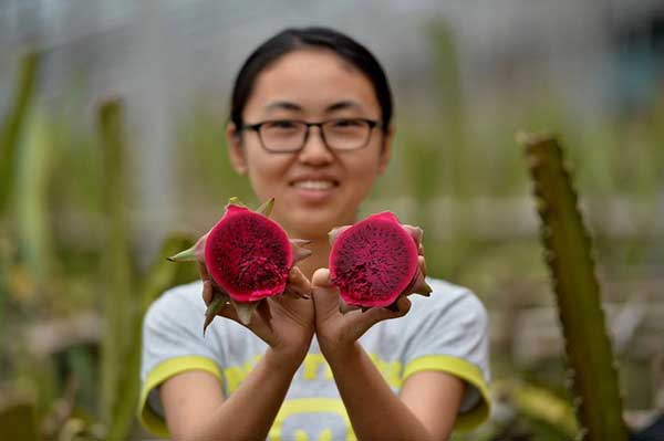 High-fibre diet key in fight against diabetes: study