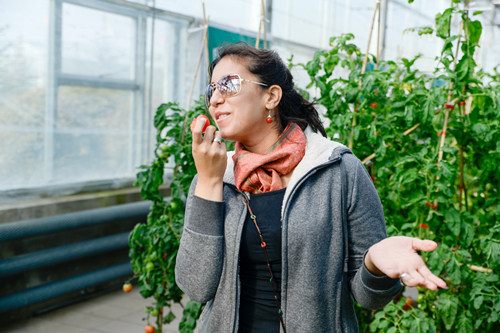 Foreign students studying in Jilin province visit Northeast Agricultural Base