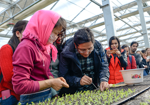 Foreign students studying in Jilin province visit Northeast Agricultural Base