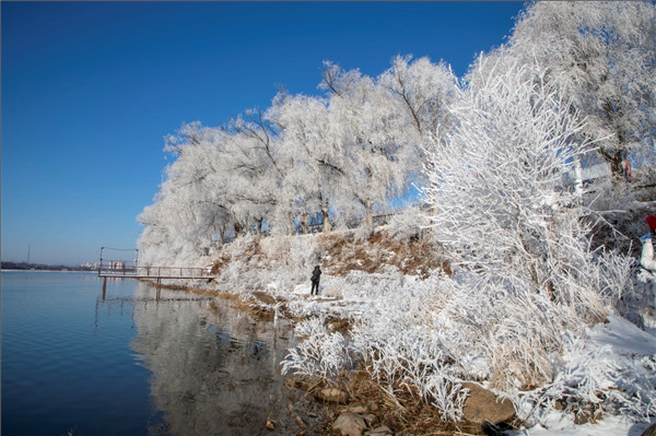 Magical rime transforms Jilin city into a fairyland