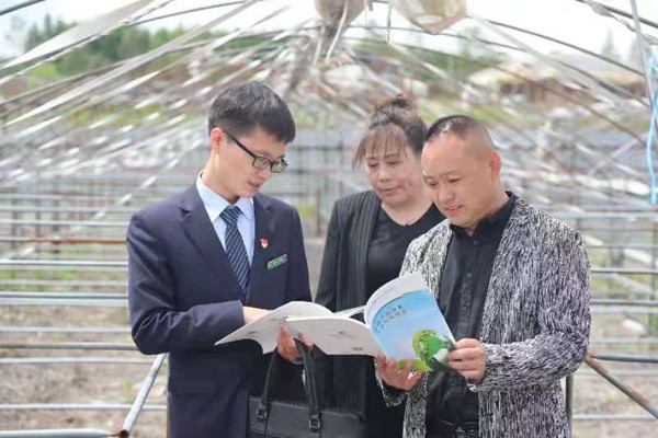 Guarantee loans help edible fungus industry boom in Jilin