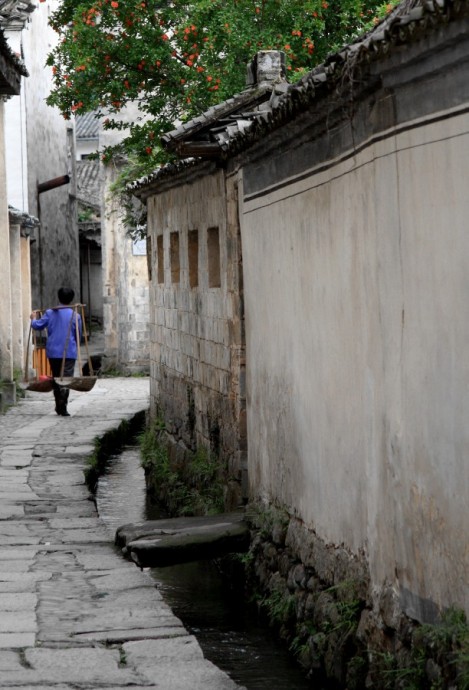 Overseas travel agencie visits Hongcun Village