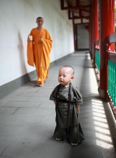 'Little monk' sparks online frenzy