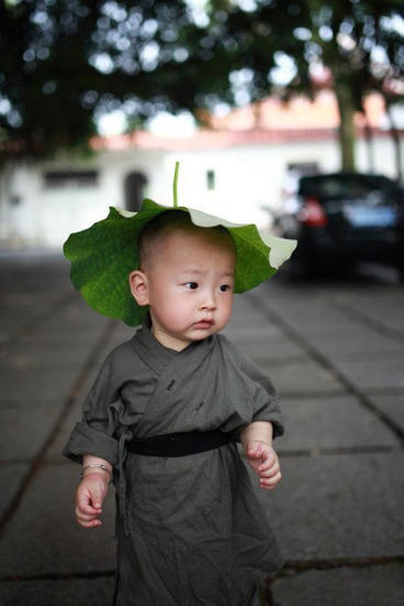 'Little monk' sparks online frenzy