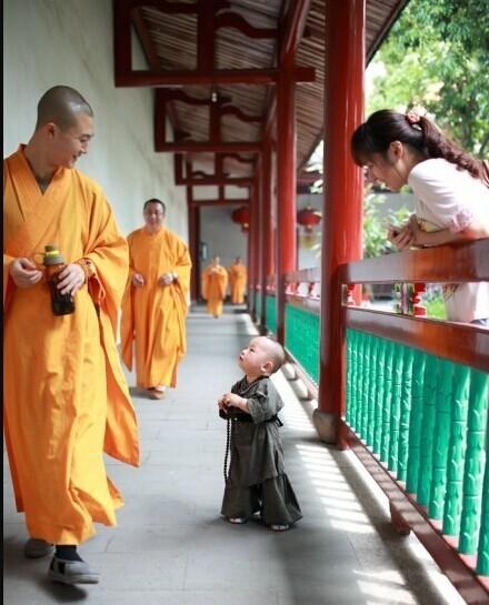 'Little monk' sparks online frenzy