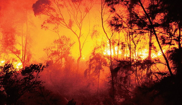 Wildfire put out at Changjiang'ao area