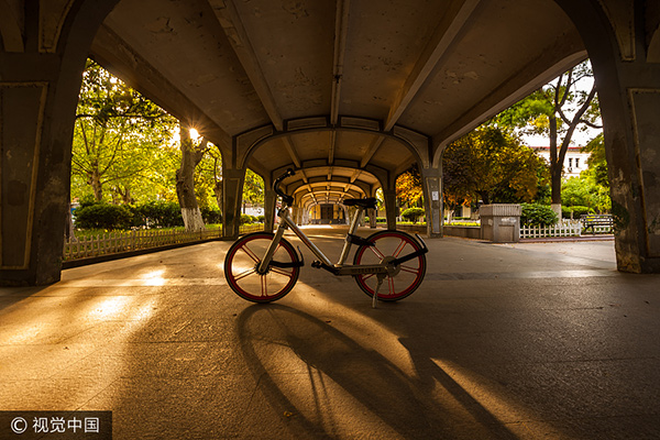 Xiamen among top 10 cities with most shared bike riders