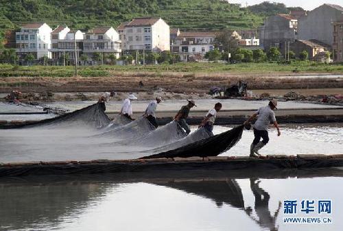 Alert remains for Typhoon Goni