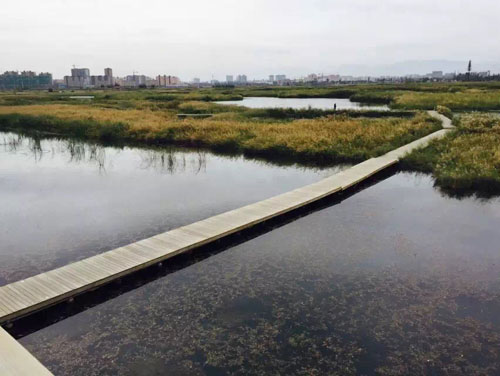 Zhangye National Wetland Park