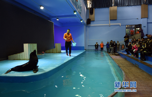 Lanzhou's first polar ocean world opens to the public